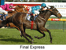 Final Express (14772 bytes)