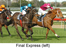 Final Express (14772 bytes)