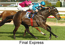 Final Express (14772 bytes)