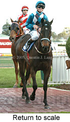 Return to scale (14008 bytes)