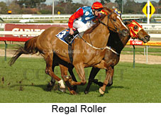 Regal Roller (14772 bytes)