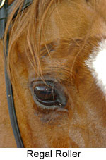 Regal Roller (14772 bytes)