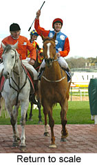 Return to scale (14008 bytes)