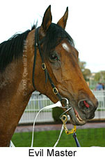 Evil Master (14772 bytes)