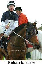 Return to scale (14008 bytes)