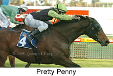 Pretty Penny (14772 bytes)