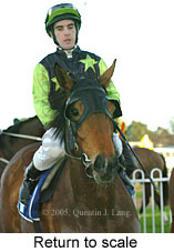 Return to scale (14008 bytes)