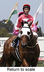 Return to scale (13814 bytes)