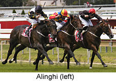 Alinghi (17699 bytes)