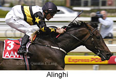 Alinghi (14814 bytes)