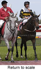 Return to scale (14680 bytes)