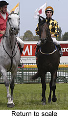 Return to scale (14130 bytes)