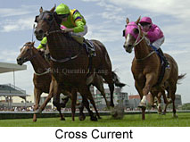 Cross Current (13422 bytes)