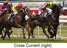 Cross Current (18447 bytes)