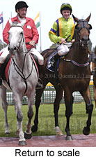 Return to scale (14645 bytes)