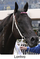 Lonhro (11164 bytes)