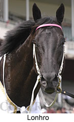 Lonhro (10795 bytes)