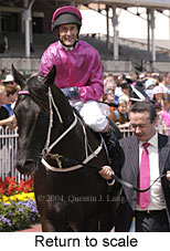 Return to scale (16204 bytes)