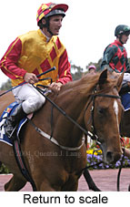 Return to scale (13878 bytes)