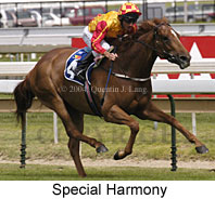 Special Harmony (16501 bytes)