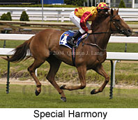 Special Harmony (16017 bytes)