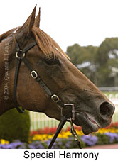 Special Harmony (12102 bytes)