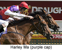 Harley Ma (16288 bytes)