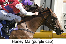 Harley Ma (15332 bytes)