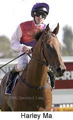 Harley Ma (11588 bytes)