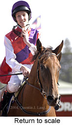 Return to scale (14204 bytes)