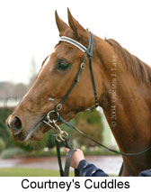 Courtney's Cuddles (10969 bytes)
