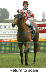 Return to scale (14925 bytes)