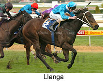 Llanga (16573 bytes)