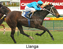 Llanga (16909 bytes)