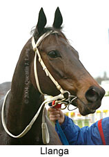 Llanga (11357 bytes)