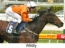 Wildy (16573 bytes)