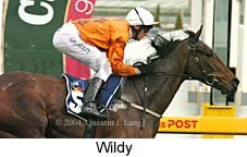 Wildy (16573 bytes)