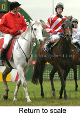 Return to scale (15192 bytes)