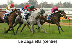 Le Zagaletta (16332 bytes)