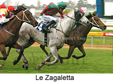 Le Zagaletta (17000 bytes)