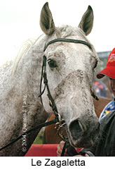 Le Zagaletta (13774 bytes)