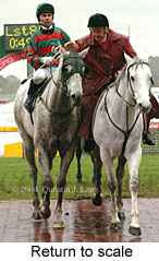 Return to scale (16482 bytes)