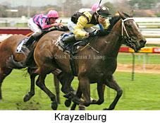 Krayzelburg (17720 bytes)