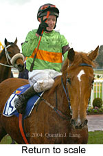 Return to scale (13536 bytes)