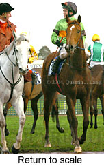 Return to scale (16651 bytes)