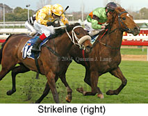 Strikeline (16675 bytes)