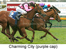 Charming City (16675 bytes)