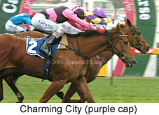 Charming City (16675 bytes)