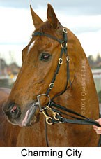 Charming City (16675 bytes)