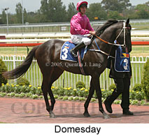 Domesday (14772 bytes)